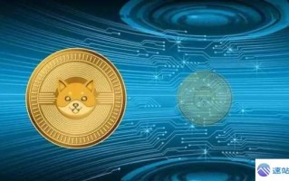 狗狗币未来应用场景：支付+生态发展预测