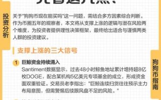 狗狗币社区是什么？社区治理对价格影响