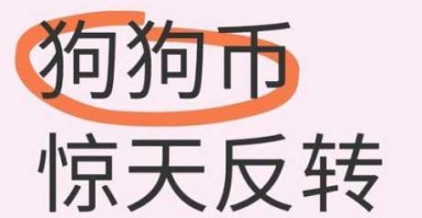 狗狗币诈骗案例：常见骗局及防范措施