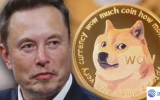 狗狗币历史最高价：马斯克带货行情回顾