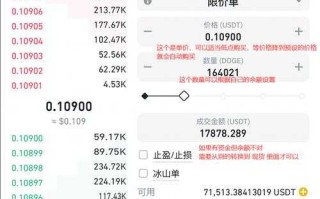 狗狗币最小交易单位：小额交易教程
